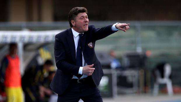 MAzzarri